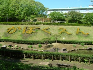 東京都青梅市にある花木園は子連れ お勧め休日スポット ちょっとした情報を提供